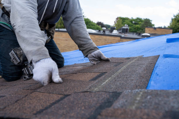 Best Gutter Installation and Roofing  in Ansonia, CT